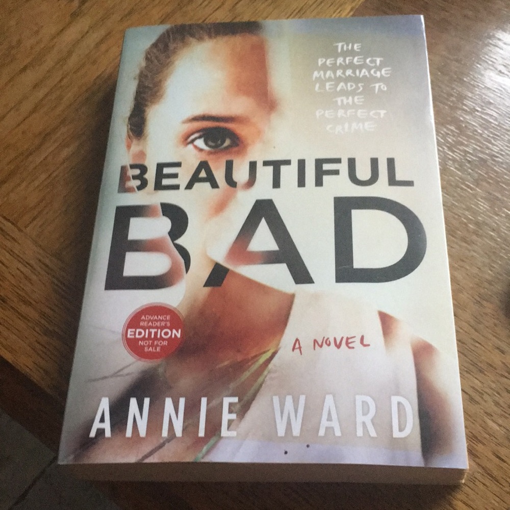 Young adult novel